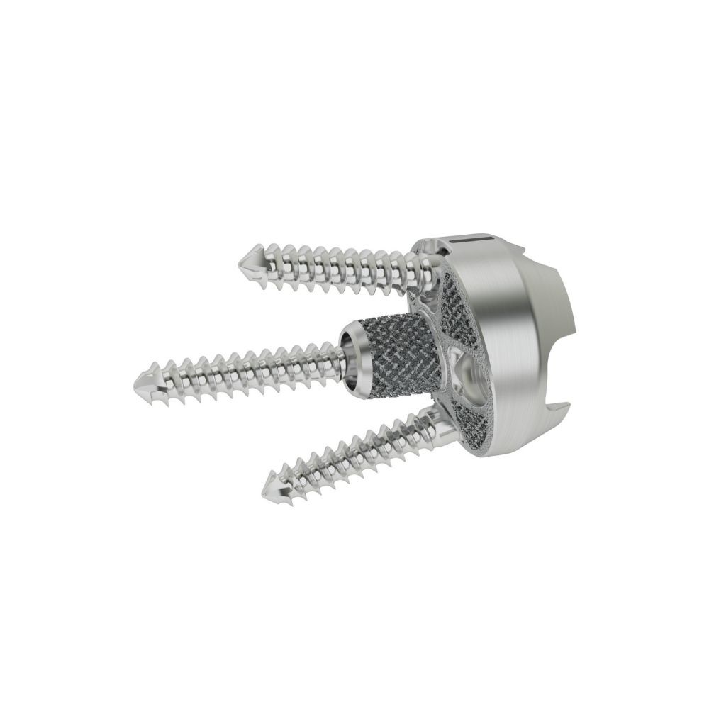 Image for 