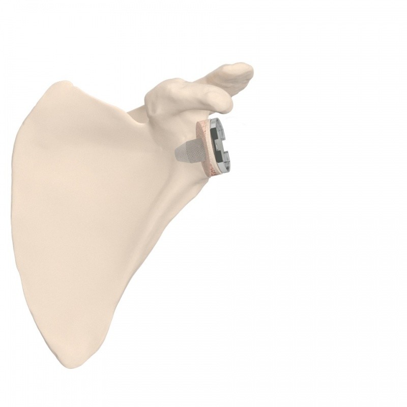 Image for 