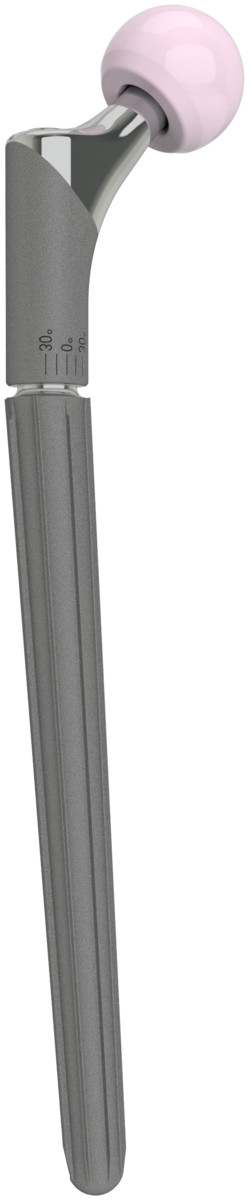 Revision Stem image